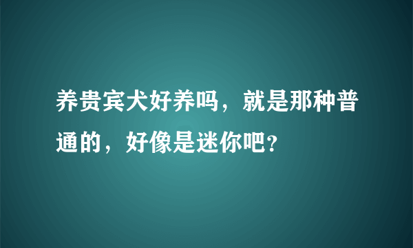 养贵宾犬好养吗，就是那种普通的，好像是迷你吧？