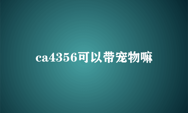 ca4356可以带宠物嘛