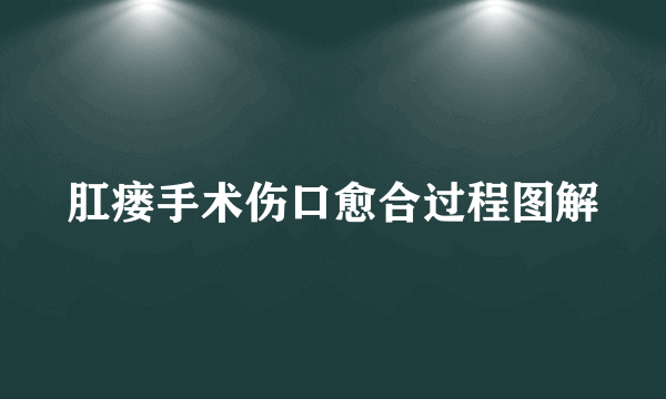 肛瘘手术伤口愈合过程图解