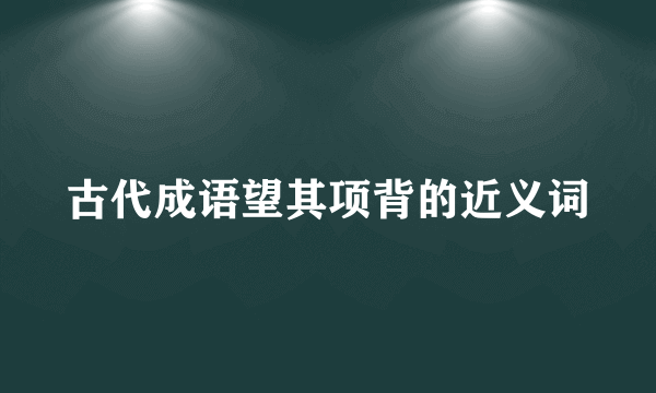 古代成语望其项背的近义词