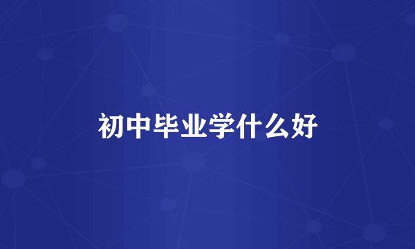 初中毕业学什么好