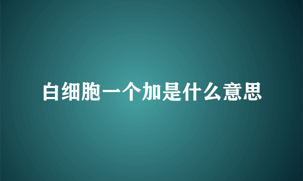 白细胞一个加是什么意思