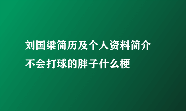 刘国梁简历及个人资料简介 不会打球的胖子什么梗