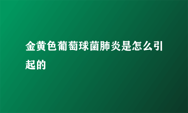 金黄色葡萄球菌肺炎是怎么引起的