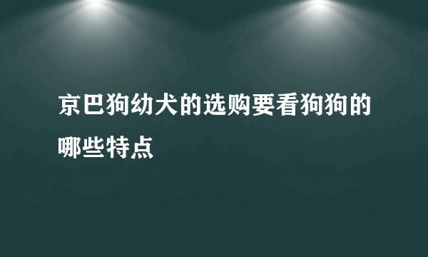 京巴狗幼犬的选购要看狗狗的哪些特点