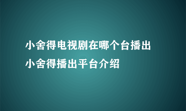 小舍得电视剧在哪个台播出 小舍得播出平台介绍