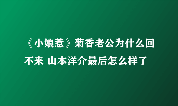 《小娘惹》菊香老公为什么回不来 山本洋介最后怎么样了