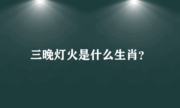 三晚灯火是什么生肖？