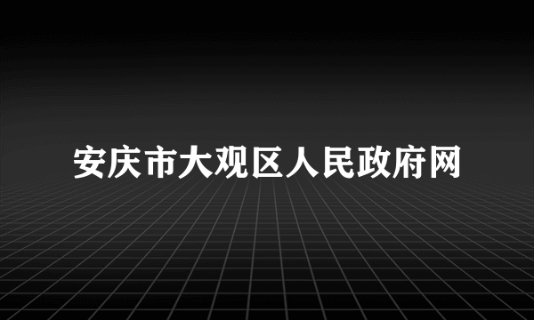 安庆市大观区人民政府网