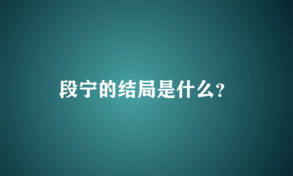 段宁的结局是什么？