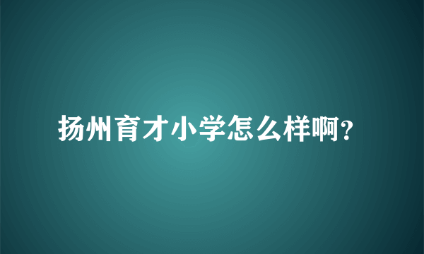 扬州育才小学怎么样啊？