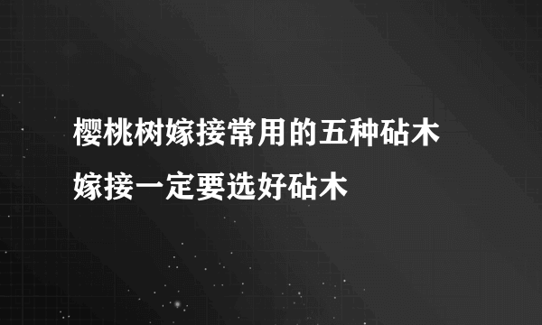 樱桃树嫁接常用的五种砧木 嫁接一定要选好砧木