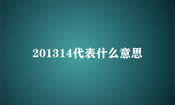 201314代表什么意思