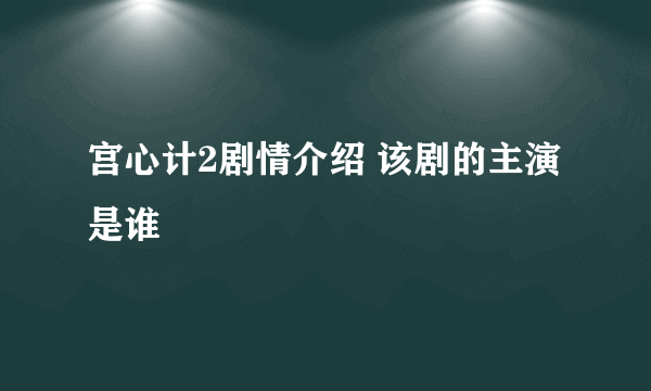 宫心计2剧情介绍 该剧的主演是谁