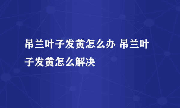 吊兰叶子发黄怎么办 吊兰叶子发黄怎么解决