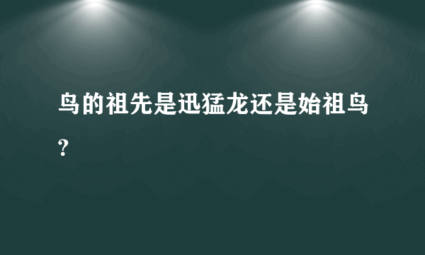 鸟的祖先是迅猛龙还是始祖鸟？