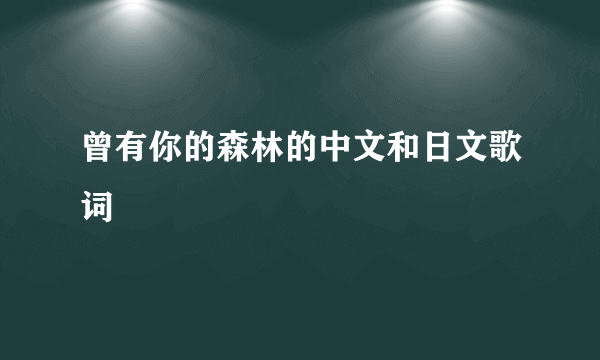 曾有你的森林的中文和日文歌词