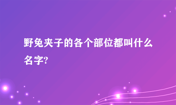 野兔夹子的各个部位都叫什么名字?