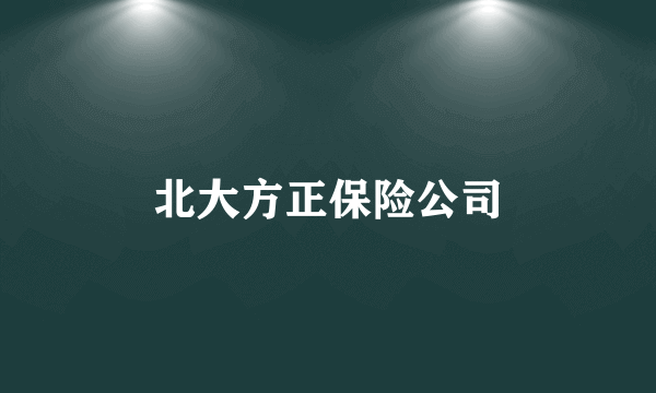 北大方正保险公司