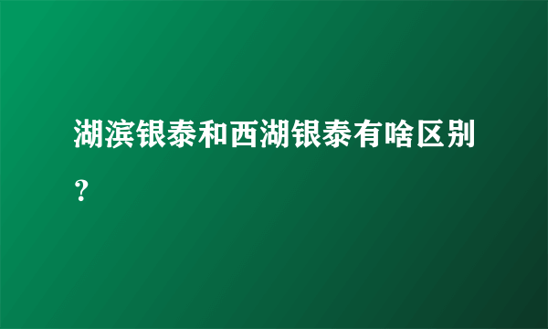 湖滨银泰和西湖银泰有啥区别？