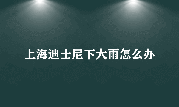 上海迪士尼下大雨怎么办