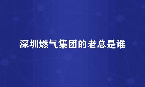 深圳燃气集团的老总是谁