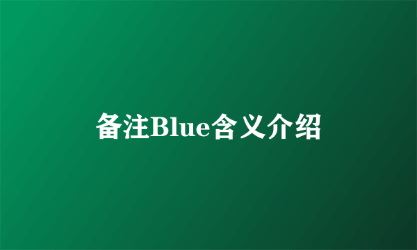 备注Blue含义介绍