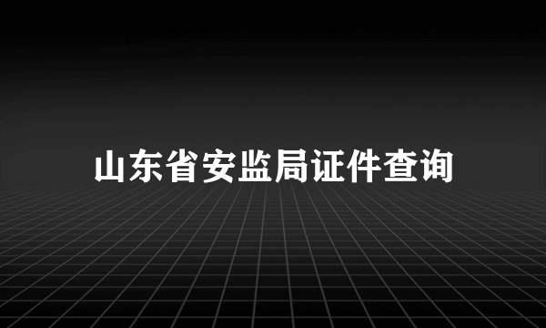 山东省安监局证件查询