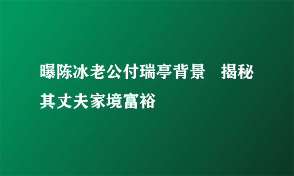 曝陈冰老公付瑞亭背景   揭秘其丈夫家境富裕