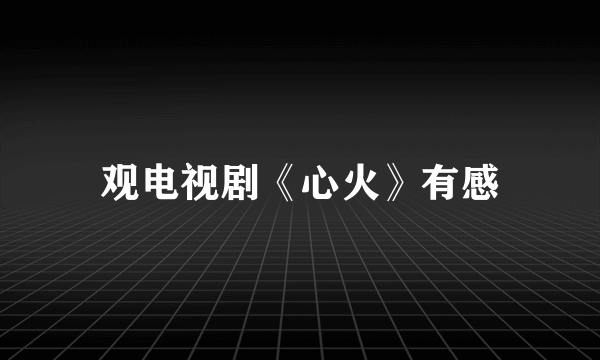 观电视剧《心火》有感