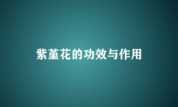 紫堇花的功效与作用