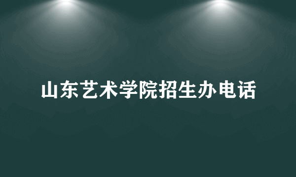 山东艺术学院招生办电话