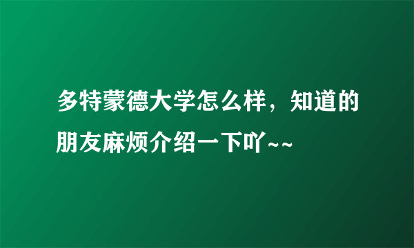 多特蒙德大学怎么样，知道的朋友麻烦介绍一下吖~~