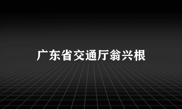 广东省交通厅翁兴根