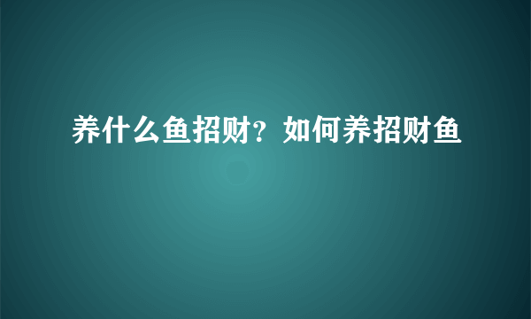 养什么鱼招财？如何养招财鱼