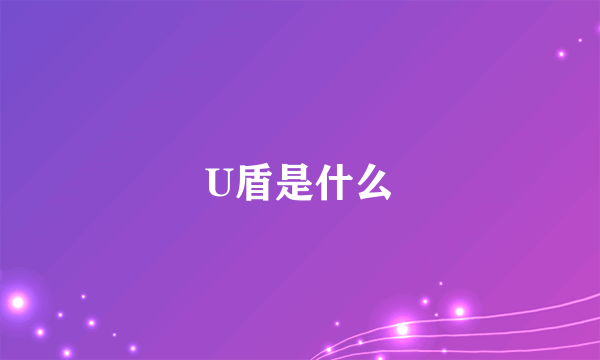 U盾是什么