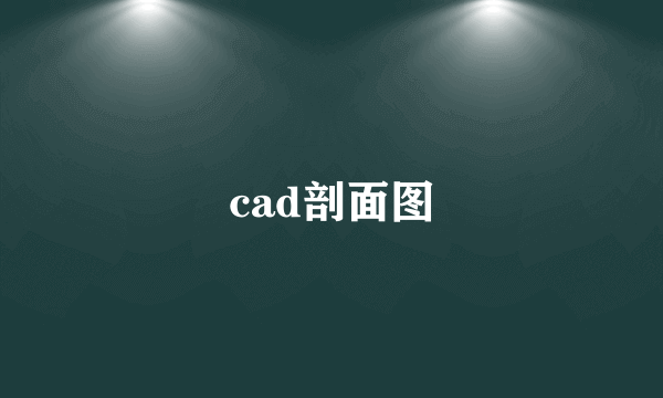 cad剖面图