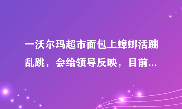 一沃尔玛超市面包上蟑螂活蹦乱跳，会给领导反映，目前事件进展如何？