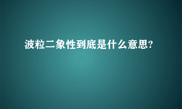 波粒二象性到底是什么意思?