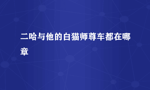 二哈与他的白猫师尊车都在哪章