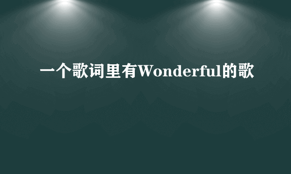 一个歌词里有Wonderful的歌