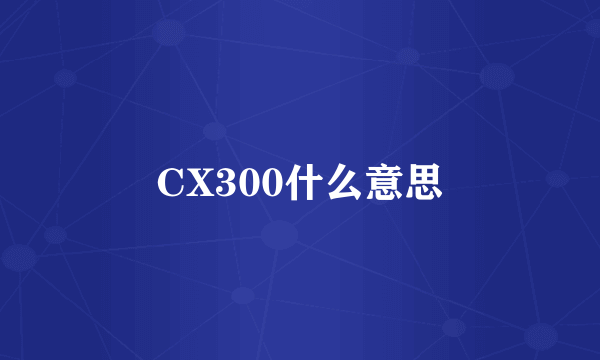 CX300什么意思