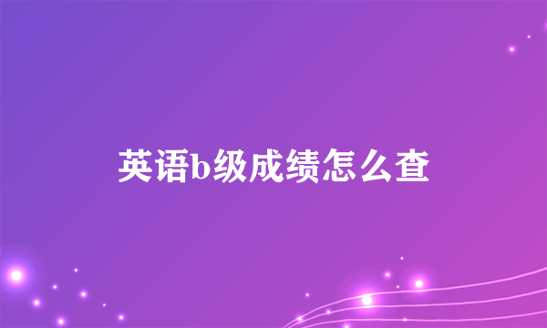 英语b级成绩怎么查