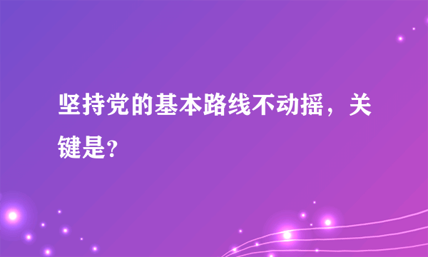 坚持党的基本路线不动摇，关键是？