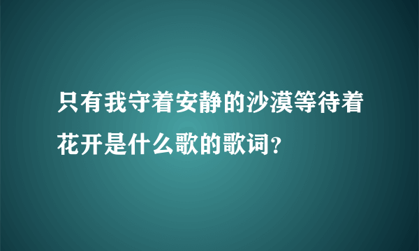 只有我守着安静的沙漠等待着花开是什么歌的歌词？