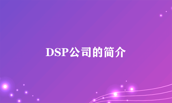 DSP公司的简介