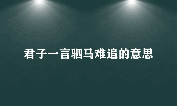 君子一言驷马难追的意思