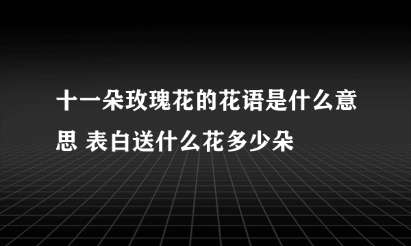 十一朵玫瑰花的花语是什么意思 表白送什么花多少朵