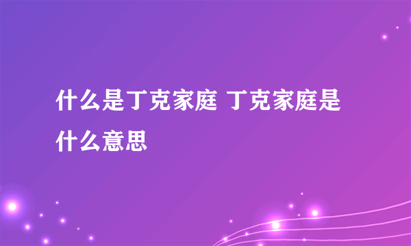 什么是丁克家庭 丁克家庭是什么意思