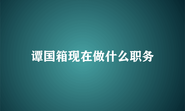 谭国箱现在做什么职务